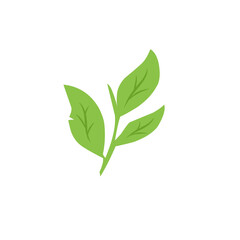 green leaf vector design