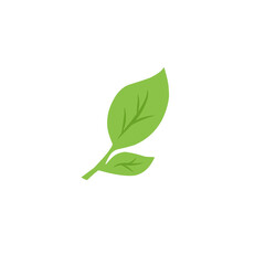 green leaf vector design