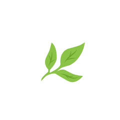 green leaf vector design