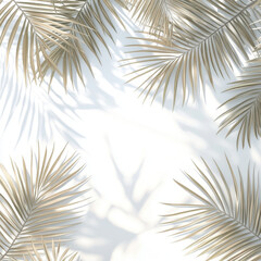 Fototapeta premium Lush palm leaves create serene atmosphere against white background, casting soft shadows that enhance tranquil vibe. Perfect for nature themed designs