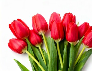 Fototapeta premium Seven red tulip flowers bouquet isolated on white 