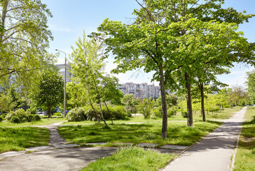 Walkway surrounded by trees and lawns in Kyiv, Europe. Recreation place in the city park