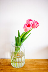 Spring flowers, pink tulips in a glass vase