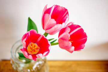 Spring flowers, pink tulips in a glass vase