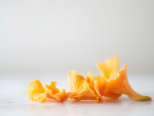 Delicate Chanterelle Mushrooms on Soft White Surface Background