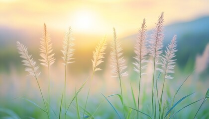 Golden Hour Serenity Backlit Grasses with Dreamy Bokeh, Warm Light and Lush Green Tones