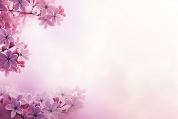 Lilac flowers framing a soft pink background, perfect for spring themes