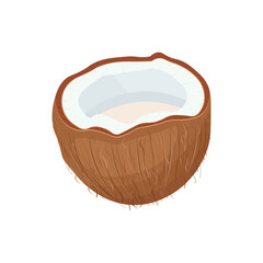 Coconut. Coconuts are open . A tropical fruit. Vector illustration