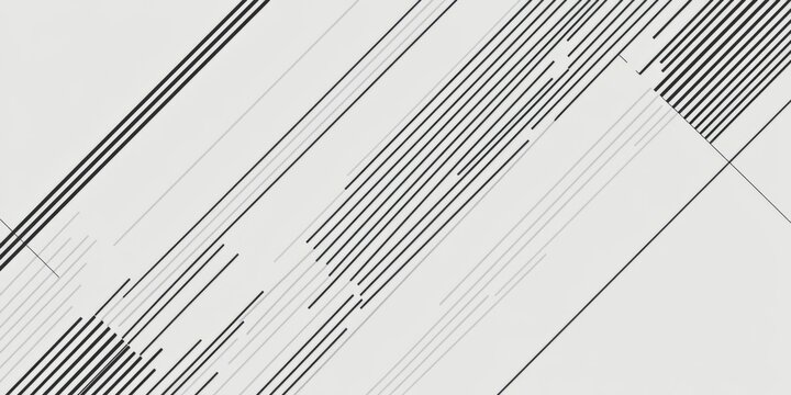 Black and white image of a white background with many lines. The lines are of varying thickness and length