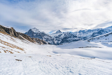 Winter landscape with snow covered peaks seen from the First mountain in Swiss Alps in Grindelwald ski resort, Switzerland
