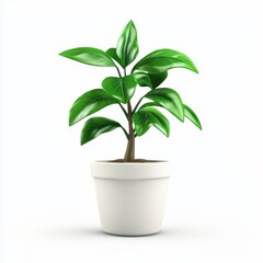 stylish ceramic flower pot with a blooming green plant, isolated on a clean white background