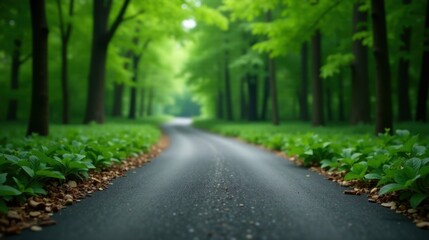 Fototapeta premium Serene asphalt pathway winding through a lush, verdant forest, bordered by vibrant green foliage