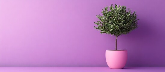 Willow tree in a pink pot centered on a soft purple background, highlighting a serene floral and plant theme for design projects.