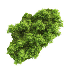 Fototapeta premium 3D Abstract Green Moss – Nature-Inspired Moss Texture Isolated on Transparent Background