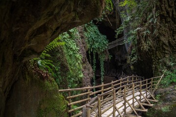 Scenic Wooden Walkway Through Mountain Gorge, Dolomites