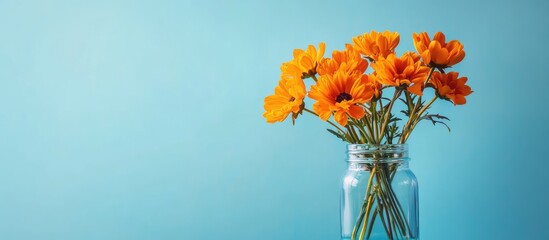 Vibrant orange spring flowers in a glass jar vase on the right with a soft blue backdrop creating ample copy space on the left for text elements