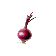 One bulb red onion isolated on transparent background.