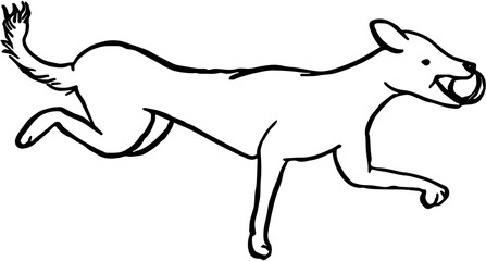 Dog. Domestic animal. Hand drawn vector isolated set. Playing with a ball 