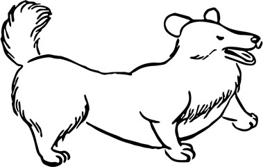 Dog. Domestic animal. Hand drawn vector isolated set.
