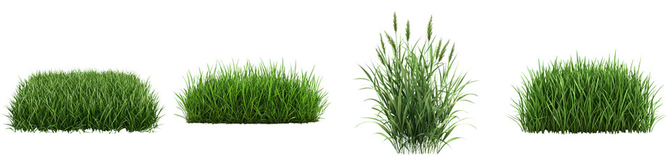 Vibrant Green Grass Carpet in Natural Environment