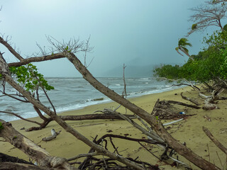 Stormy tropical beach with fallen driftwood on golden sand during cyclone season at Cape Tribulation, Queensland, Australia. Rough seas, dark clouds. Moody atmosphere in remote Daintree National Park