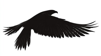 Majestic eagle in flight, white background, freedom