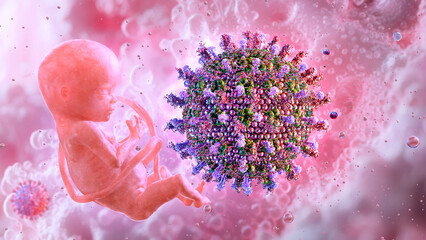 Developing fetus and rubella virus. Congenital rubella syndrome, associated birth defects: microcephaly, heart, hearing loss. Pregnancy, prenatal care, vaccination to prevent rubella infection. 3D
