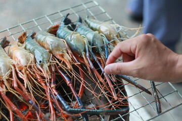  Raw Shrimp on Grill with Charcoal Background