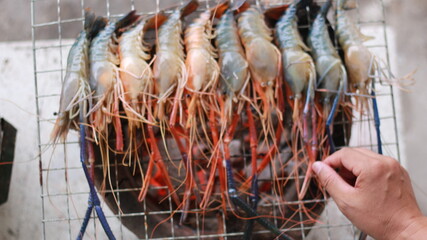  Raw Shrimp on Grill with Charcoal Background