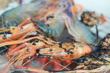 Raw Shrimp on Grill with Charcoal Background