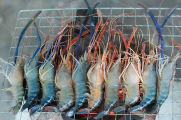  Raw Shrimp on Grill with Charcoal Background