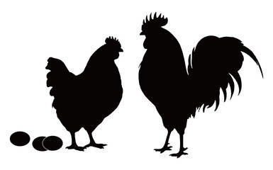 silhouette chicken