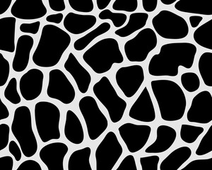 Seamless pattern of giraffe skin on a white background	