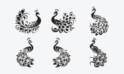  The Art of the Peacock