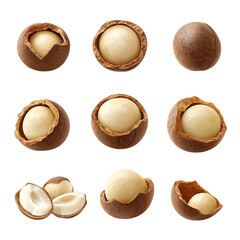 Set of the macadamia nuts isolated on transparent background.