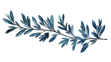 Watercolor painting of an olive branch with blue leaves on transparent background