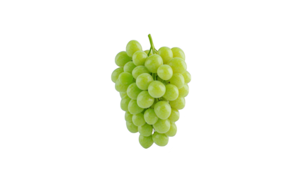 Luscious grapes on a sunny yellow background, visual delight of freshness and flavor