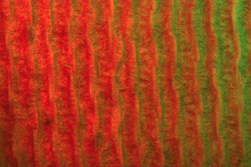 Abstract of red and green on fibrous texture