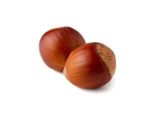 Two glossy chestnuts rest side by side on a stark white surface, showcasing their deep brown hue and velvety tops. The simplicity highlights their natural beauty and rich textures.