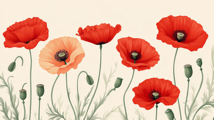 Obraz premium Pattern with poppies flowers. Vintage design element