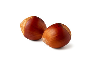 Two glossy chestnuts rest side by side on a stark white surface, showcasing their deep brown hue and velvety tops. The simplicity highlights their natural beauty and rich textures.