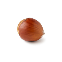 A single hazelnut sits on a pristine white background, highlighting its smooth, warm brown shell. The simplicity of the composition emphasizes the natural beauty and texture of the nut.