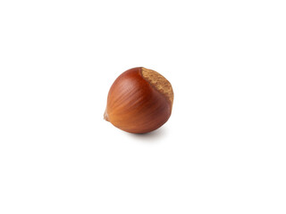 Nutty delight resting on a clean surface, perfectly showcasing its rich brown hue