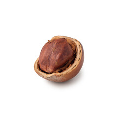 Discovering the beauty of a single pecan shell highlighting nature's elegance