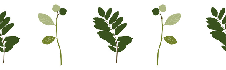 Green leaves set on a white background. Hand-drawn illustration. Perfect for spring and summer.