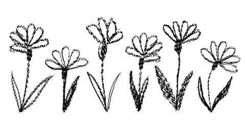 Hand drawn floral elements set. Ink drawing flowers with leaves in naive style. Black and white chalk elements in grunge style. Vector illustration