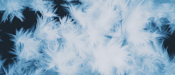 Intricate crystalline snowflakes create a stunning contrast on a deep black background