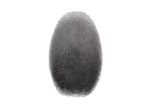 Fingerprint isolated on transparent or white background