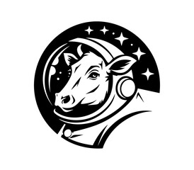 Cow and Space  © Maria