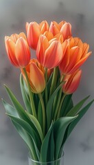 Bright meadow with assorted tulips blooming under the warm sunlight